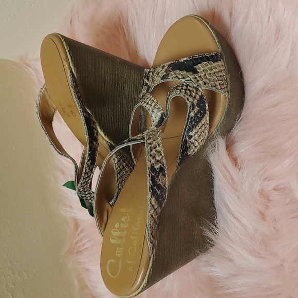 Callisto of California - Picture 4 of 5